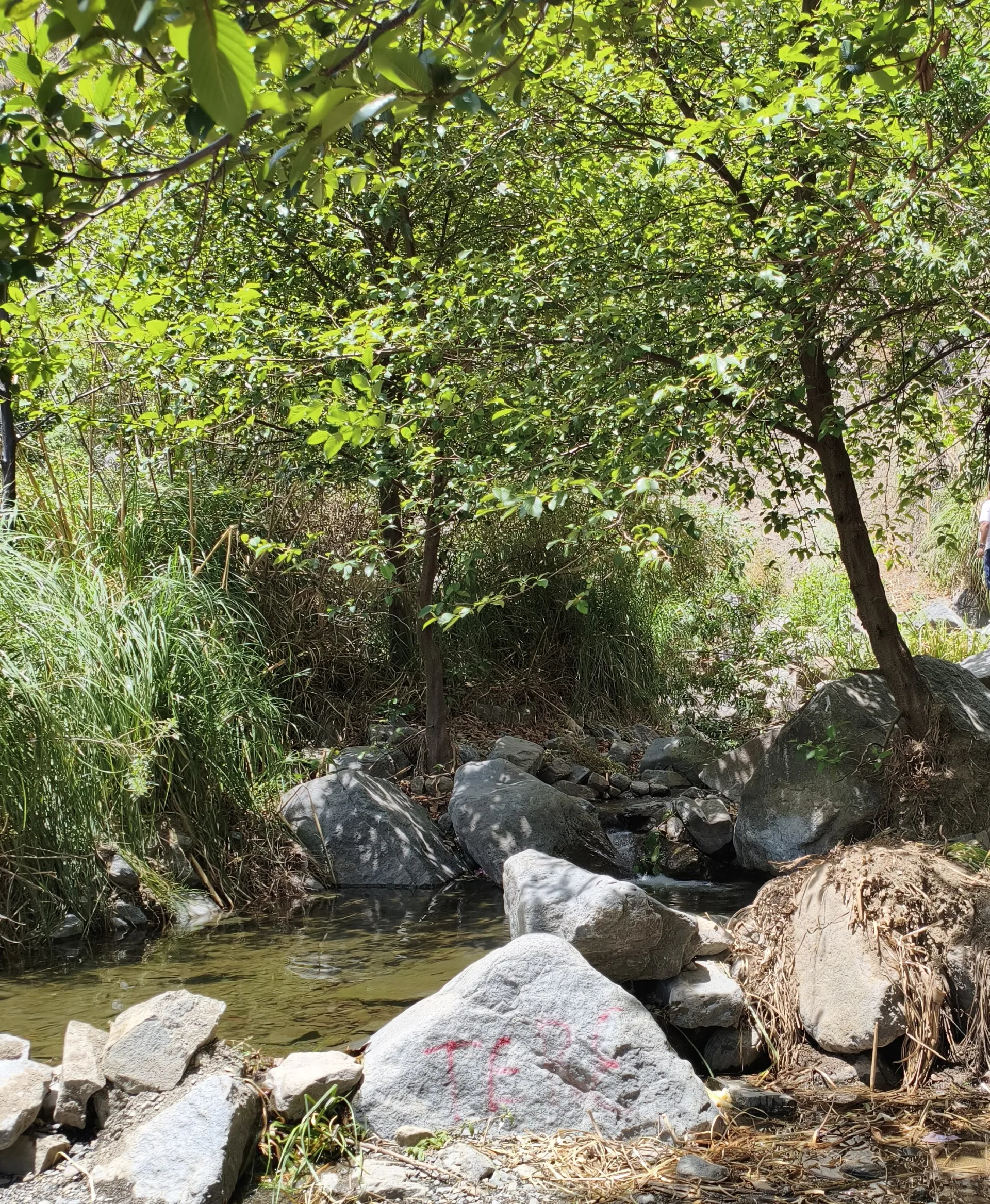 Cascada Pequeña Arocahua