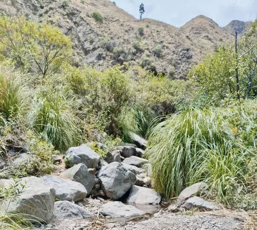 Cascada Pequeña Arocahua
